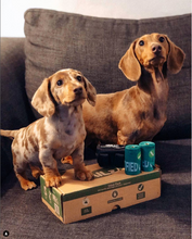 Load image into Gallery viewer, Value Pack 195 Compostable Dog Poop Bags with Handles & Discounted Dog Poop Bag Holder