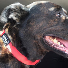 Load image into Gallery viewer, Dog Collar