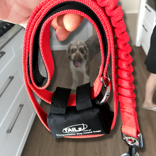 Load image into Gallery viewer, Dog Lead