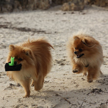 Load image into Gallery viewer, Single Roll & Dog Poo Bag Holder