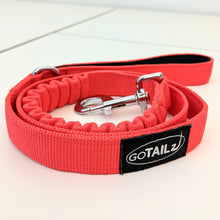 Load image into Gallery viewer, Dog Lead